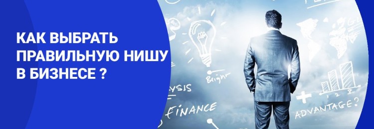 Советы, как правильно выбрать нишу для бизнеса