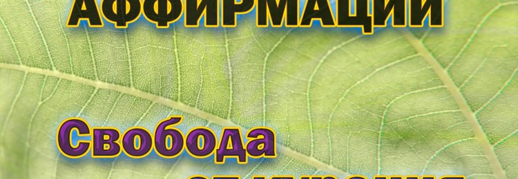 Как бросить курить и употреблять алкоголь: эффективные техники медитации