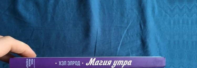 Одна привычка, изменившая жизнь. Хэл Элрод «Дневник. Магия утра»