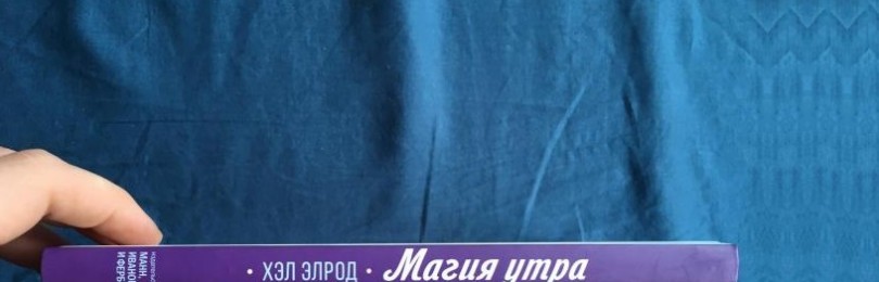 Одна привычка, изменившая жизнь. Хэл Элрод «Дневник. Магия утра»